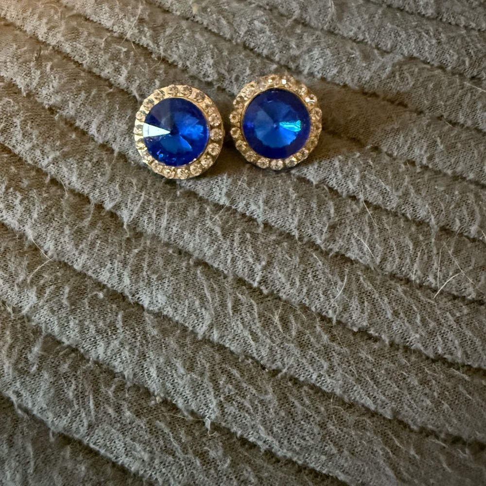 Elegant Blue and Silver Stud Earrings